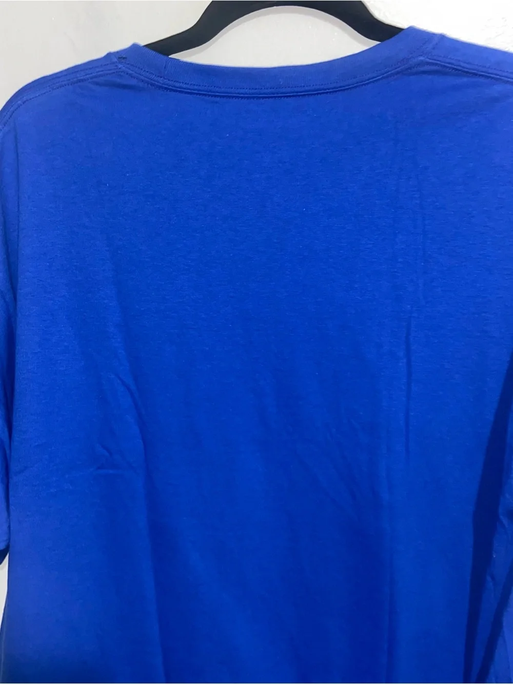 Champion Shirt Mens Large Florida Gulf Coast FGCU Eagles Blue Short Sleeve - Picture 8 of 12